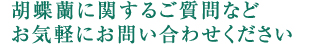 胡蝶蘭に関するご質問など お気軽にお問い合わせください