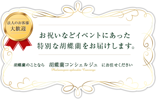 お祝いなどイベントにあった特別な胡蝶蘭をお届けします